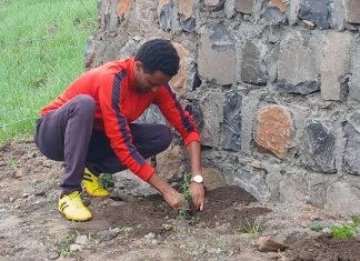 በአሚኮ ሰቆጣ ኤፍ ኤም የአረንጓዴ አሻራ መርሐ ግብር እየተካሄደ ነው።