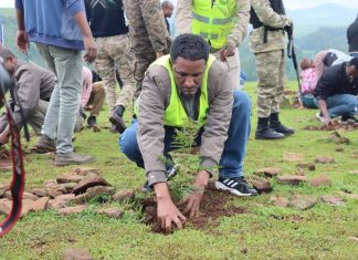 በባሕር ዳር ዙሪያ ወረዳ የአረንጓዴ አሻራ የችግኝ ተከላ እየተካሄደ ነው።