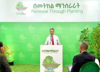 ከ4 ነጥብ 3 ቢሊዮን በላይ የጥምር ደን ችግኞች ይተከላሉ።