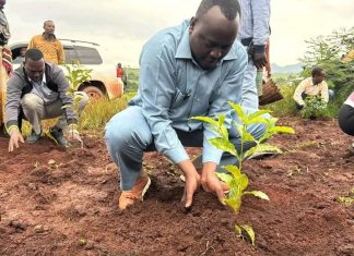 “ችግኝ መትከል መድኃኒት መትከል ነው” ርእሰ መሥተዳድር አሻድሊ ሀሰን