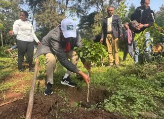 “የአረንጓዴ አሻራ ለኢትዮጵያ አዲስ ታሪክ፣ አዲስ ምዕራፍ እየከፈተ ነው” ለገሰ ቱሉ (ዶ.ር)