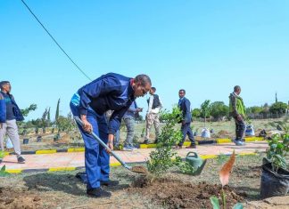 በአንድ ጀምበር የአረንጓዴ አሻራ መርሐ ግብር ሁሉም በንቃት እንዲሳተፍ አቶ አደም ፋራህ ጥሪ አቀረቡ።