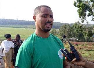 የተተከሉ ችግኞች የአካባቢውን ብዝኅ ሕይዎት ከመለወጥ ባሻገር ለተለያየ ጥቅም መዋል ጀምረዋል።