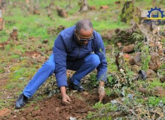 “የአረንጓዴ አሻራ መርሐ ግብር የትውልድ፣ የዜጋ እና የሀገር ሥራ ነው” የኢንዱስትሪ ሚኒስትር መላኩ አለበል
