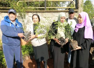 “የአረንጓዴ አሻራ መርሐ ግብር ትርጉሙ ከአካባቢ ጥበቃም ያልፋል” ኤርጎጌ ተስፋዬ (ዶ.ር)