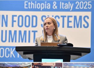 ሀገራት የምግብ ሉዓላዊነትን ለማረጋጥ ትኩረት ሰጥተው መሥራት ይገባቸዋል።