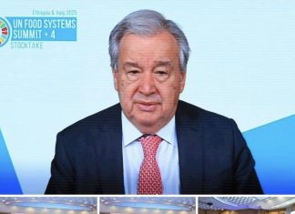 “ጦርነት እና ግጭት በዓለም አቀፍ የምግብ ሥርዓት ግንባታ ላይ ትልቅ እንቅፋት ናቸው” አንቶኒዮ ጉተሬዝ
