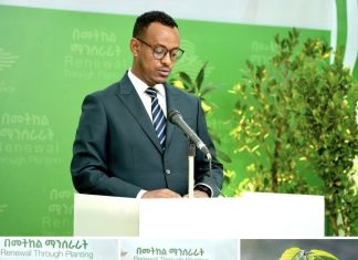 የአንድ ጀንበር የአረንጓዴ አሻራ መርሐ ግብር በመላው ሀገሪቱ ተጀመሯል።