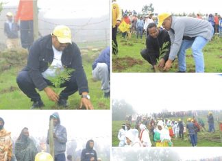 በሰሜን ሸዋ ዞን የአንድ ጀንበር የችግኝ ተከላ መርሐ ግብር በሁሉም ወረዳዎች እየተከናወነ ነው።