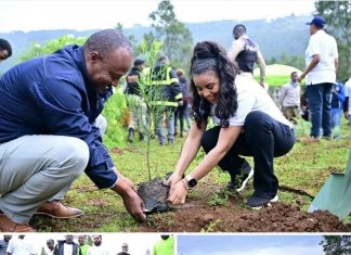 ኢትዮ ቴሌኮም “ለአረንጓዴ ኢትዮጵያ” በሚል መሪ መልእክት 500 ሺህ ችግኝ የመትከል ሥራውን ጀምሯል።