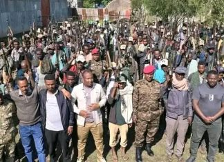 የሰላም አማራጭን የተቀበሉ ታጣቂዎች አቀባበል ተደረገላቸው።