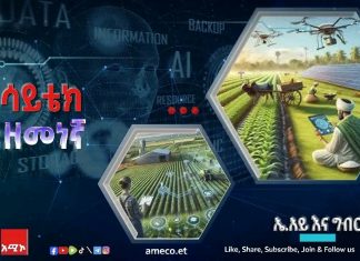 ሰው ሠራሽ አስተውሎት እና ግብርና በአፍሪካ።