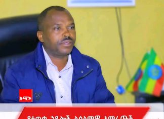 በብሔረሰብ አሥተዳደሩ ከ500 በላይ የሚኾኑ ታጣቂዎች የመንግሥትን የሰላም ጥሪ ተቀብለዋል።
