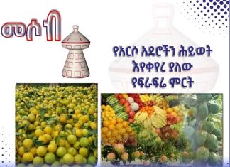 የአርሶ አደሮችን ሕይወት እየቀየረ ያለው የፍራፍሬ ምርት፦