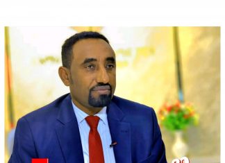 አሚኮ ከሀገር ባሻገር…