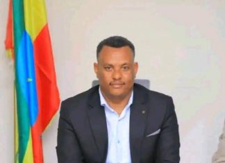 የታጣቁ ኃይሎች የሰላም አማራጭን ተቀበሉ።