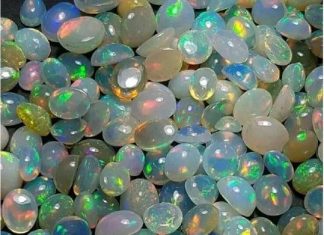 ዘመናዊ አሠራርን የሚፈልገው የኦፓል ምርት