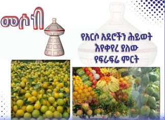 የአርሶ አደሮችን ሕይወት እየቀየረ ያለው የፍራፍሬ ምርት