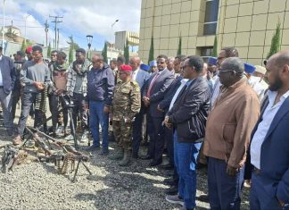 መንግሥትን የሰላም ጥሪ የተቀበሉ የቀድሞው ታጣቂዎች በደብረ ብርሃን ከተማ የተሐድሶ ሥልጠና ጀመሩ።