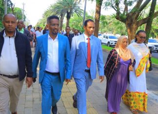 የባሕር ዳር ከተማ የኮሪደር ልማት የከተማዋን የተፈጥሮ ውበት ይበልጥ የሚያጎላ ነው።