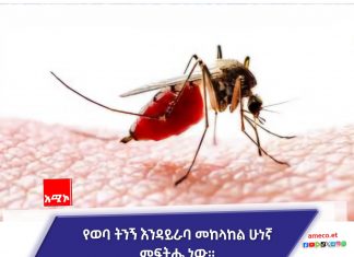 ነፍሰ ጡር እናቶች በወባ ሲያዙ ምን ማድረግ አለባቸው ?