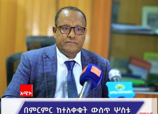 የአማራ ግብርና ምርምር ኢንስቲትዩት ዘጠኝ የሰብል ዝርያዎችን መልቀቁን አስታወቀ።