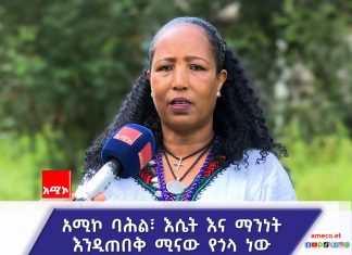 አሚኮ በምሥራቅ ጎጃም ዞን የሚገኙ ቅርሶችን በማስተዋወቅ ረገድ ጉልህ ሚና ተጫውቷል፡፡