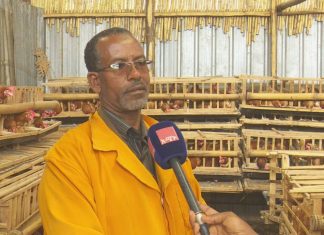 በእንስሳት እርባታ ተስፋ ሰጭ ውጤት ተገኝቷል።