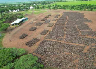 የብር ሸለቆ ወታደራዊ ማሠልጠኛ ትምህርት ቤት ያሠለጠናቸውን መሠረታዊ ወታደሮች አስመረቀ።