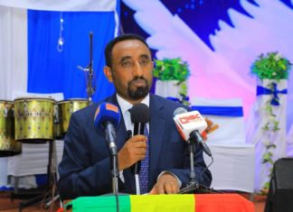 መንግሥት ያቀረበውን የሰላም ጥሪ ተቀብለው ሕዝብን ለመካስ ቁርጠኛ መኾናቸውን የቀድሞ ታጣቂዎች ተናገሩ።