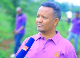 ከችግኝ ተከላ ሥራ ባለፈ እንክብካቤ እና ጥበቃ ላይ ትኩረት ማድረግ ይገባል።