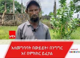 ሕዝብ እንዳይጎዳ እና እንዳይበደል በማሰብ የሰላም አማራጭ መቀበሉን የቀድሞ ታጣቂ ቴዎድሮስ ከበደ ተናገረ።