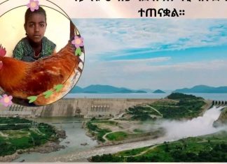 የህጻን ሰሚራ ሕልም ተሳክቷል።