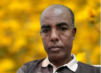 የኢትዮጵያ ምድር ማጌጫ አደይ አበባ።