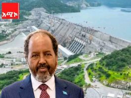 “የተፋሰሱ የላይኛው እና የታችኛው ሀገራት ያለፉ ዘመናትን ልዩነቶች በማጥበብ በጋራ እና በመቀራረብ መሥራት ይገባቸዋል” ፕሬዝዳንት ሀሰን ሼክ መሐመድ (ዶ.ር)