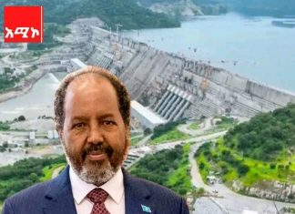 “የተፋሰሱ የላይኛው እና የታችኛው ሀገራት ያለፉ ዘመናትን ልዩነቶች በማጥበብ በጋራ እና በመቀራረብ መሥራት ይገባቸዋል” ፕሬዝዳንት ሀሰን ሼክ መሐመድ (ዶ.ር)