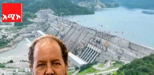 “የተፋሰሱ የላይኛው እና የታችኛው ሀገራት ያለፉ ዘመናትን ልዩነቶች በማጥበብ በጋራ እና በመቀራረብ መሥራት ይገባቸዋል” ፕሬዝዳንት ሀሰን ሼክ መሐመድ (ዶ.ር)