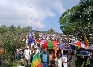 ታላቁ የኢትዮጵያ ሕዳሴ ግድብ መጠናቀቅን በማስመልከት በመርጡለ ማርያም ከተማ የድጋፍ ሰልፍ እየተካሄደ ነው።