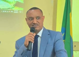 በክልሉ ያለውን የመሬት ሃብት በአግባቡ በመጠቀም ከዘርፉ የሚገኘውን ጥቅም ለማሳደግ እየሠራ መኾኑን የአማራ ክልል መሬት ቢሮ አስታወቀ።