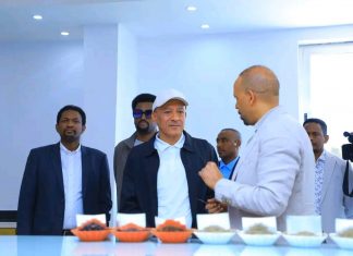 “በጀግኖች ደም የፀናች ሀገር በልማት አርበኞቿ የልዕልና ጉዞዋን ታሳካለች” ምክትል ጠቅላይ ሚኒስትር ተመስገን ጥሩነህ