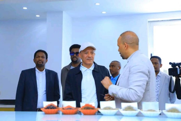 541000415_1205594181598504_4372203645347611145_n