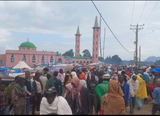 መውሊድ እና ጀማ ንጉስ!