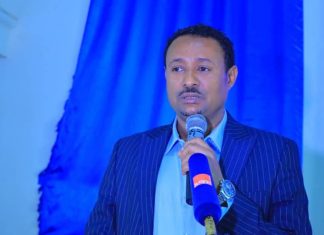 በሥራና ሥልጠና ቢሮ በለሙ ሲስተሞችም ለ300 ሺህ ሥራ ፈላጊዎች ሥራ ተፈጥሯል።