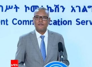 “ጳጉሜ 1 የጽናት ቀን በሚል ይከበራል” ለገሠ ቱሉ (ዶ.ር)