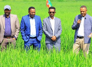 የእመርታ ቀን በባሕር ዳር ከተማ በተለያዩ ኹነቶች እየተከበረ ነው።