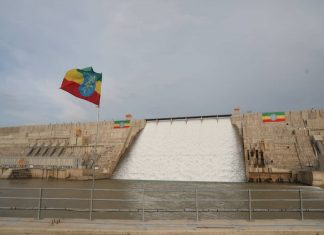 የሕዳሴ ግድባችን የዓሣ ምርታችንም ምንጭ ነው።