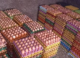 የእንስሳት ተዋፅዖ ምርቶችን በስፋት ለማቅረብ እየተሠራ ነው።