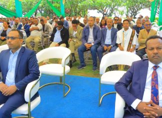 የውጭ ምርቶችን በሀገር ውስጥ በመተካት 113 ሚሊዮን ዶላር ተገኝቷል።