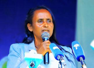 “ታላቁ የኢትዮጵያ ሕዳሴ ግድብ የሀገሪቱ የዲፕሎማሲ አቅም ማሳያ ነው” ሙሉነሽ ደሴ (ዶ.ር)