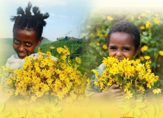 ብስራት ነጋሪዋ አደይ አበባ